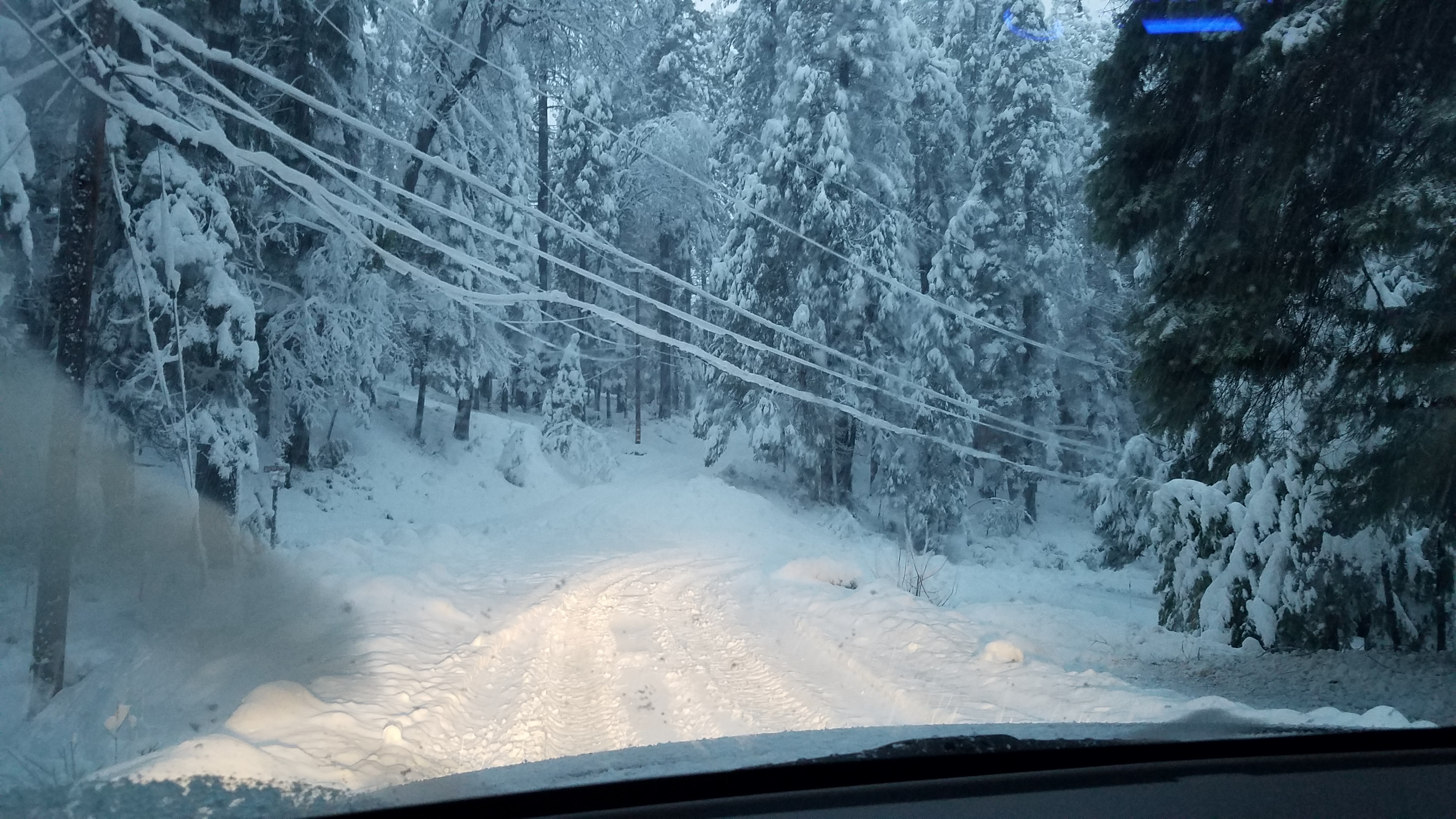 20170121_071148.jpg